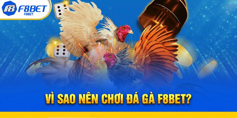 Tổng Quan Về Cược Đá Gà F8BET