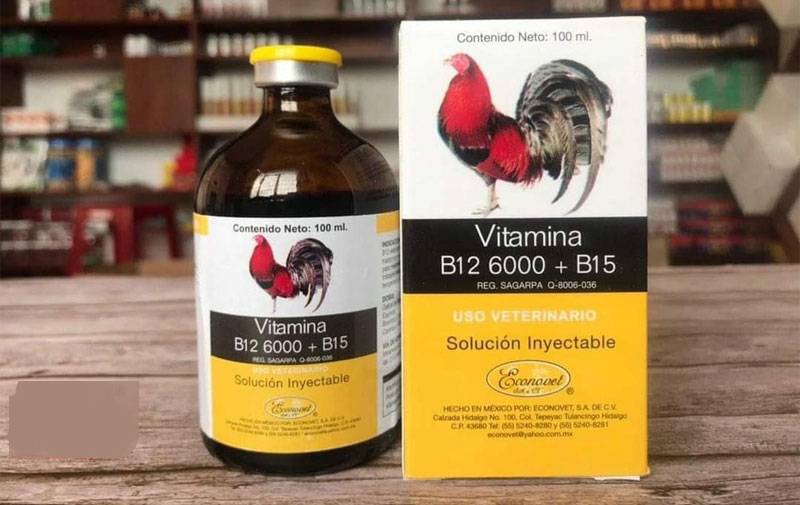 Vitamin va Khoang Chat ga da