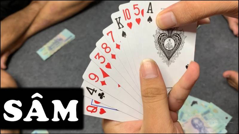 Giới Thiệu Tổng Quan Về Sâm Lốc Miền Bắc